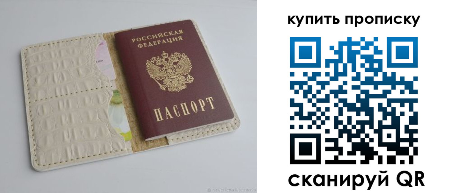 временная регистрация гарантия в Майкопе